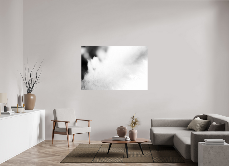 60 x 40″, PHOTO PRINT - FUJIFLEX HIGH GLOSS DREAM STATE, No.3