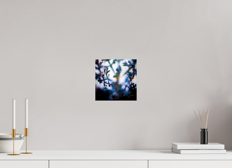 8 x 8″, PHOTO PRINT - FUJIFLEX HIGH GLOSS SENTIENCE