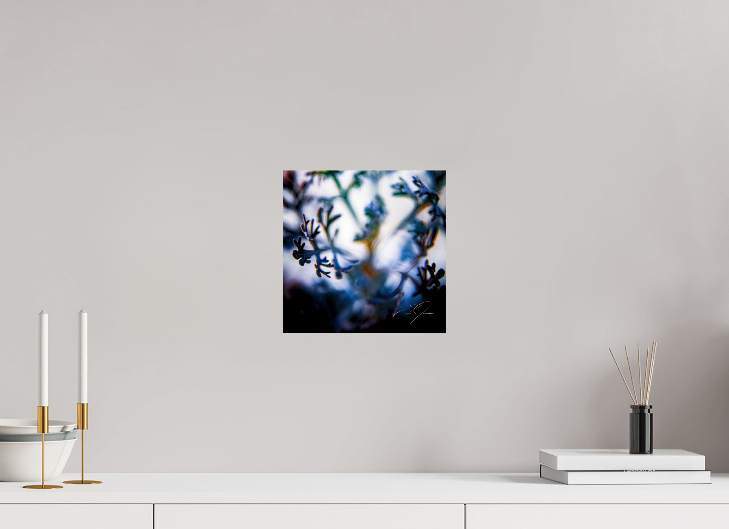 10 x 10″, PRINT ONLY [FUJI CRYSTAL DP II] SENTIENCE