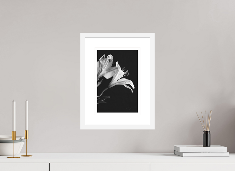 8 x 12″, FRAME - SOLID WOOD [FUJIFLEX] PETALS' LIGHT