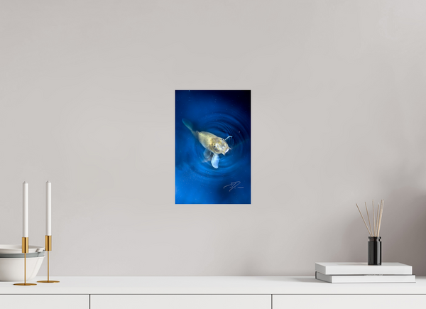 8 x 12″, PHOTO PRINT - FUJIFLEX HIGH GLOSS RISE TO THE TOP