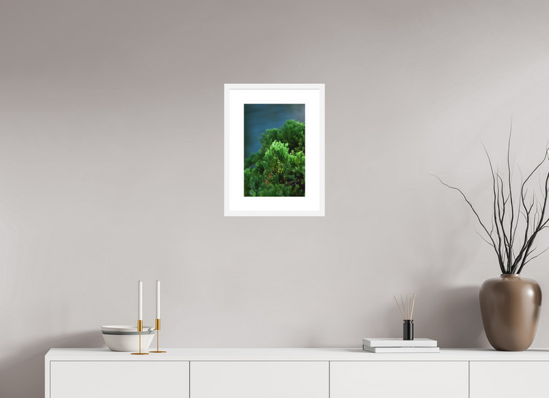 10 x 15″, FRAME - SOLID WOOD [FUJIFLEX] VERDANT