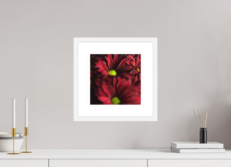 10 x 10″, FRAME - SOLID WOOD [FUJIFLEX] INDIVIDUALITY